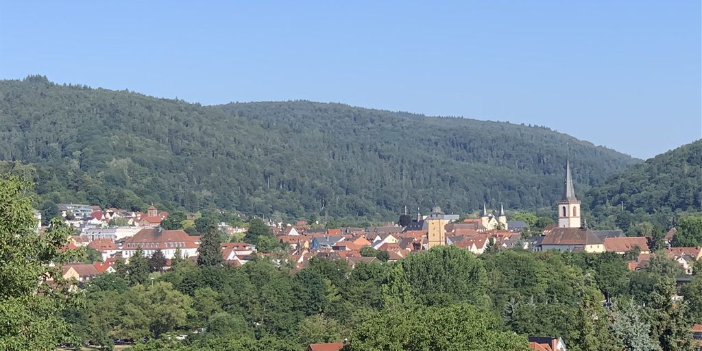 Blick über Lohr am Main mit Kirchturm und Altstadtdächern vor den bewaldeten Höhen des Spessarts