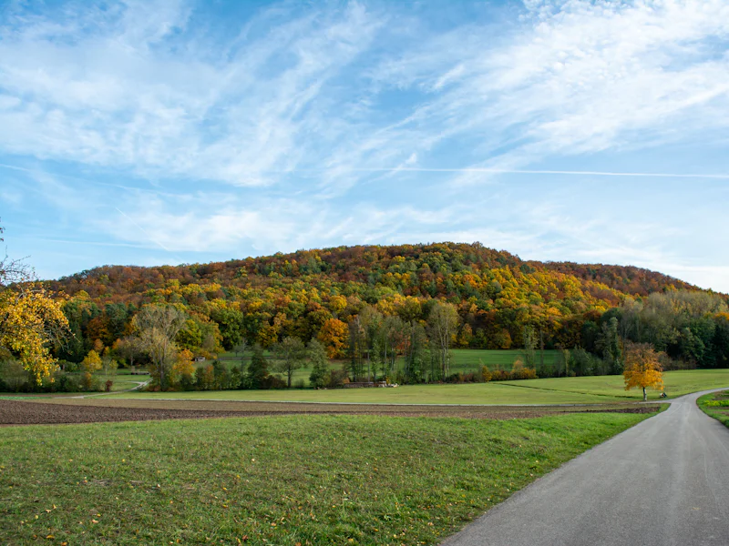 Herbstlich gefärbter Höhenzug über offenen Feldern